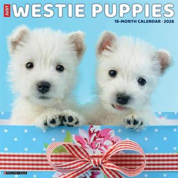 Westie Puppies 2026 12 X 12 Wall Calendar