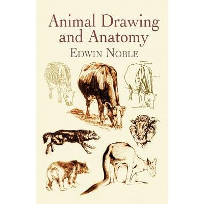 Animal Drawing and Anatomy