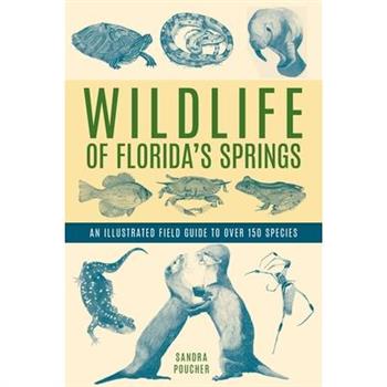 Wildlife of Florida's Springs