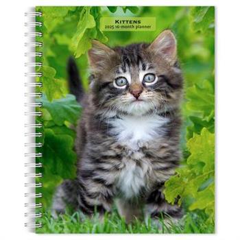 Kittens 2025 6 X 7.75 Inch Spiral-Bound Wire-O Weekly Engagement Planner Calendar New Full-Color Image Every Week