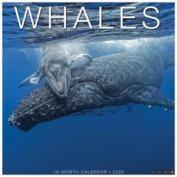 Whales 2026 12 X 12 Wall Calendar