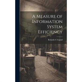 A Measure of Information System Efficiency