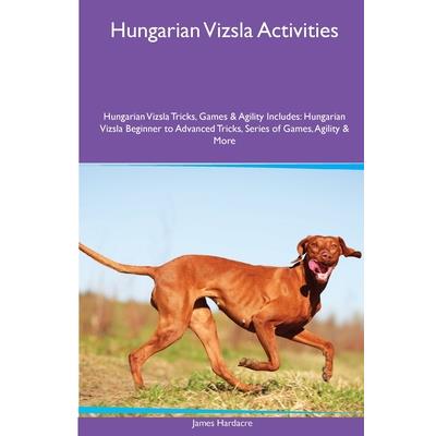 Hungarian Vizsla Activities Hungarian Vizsla Tricks, Games & Agility. Includes