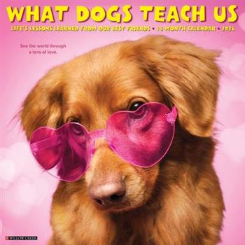 What Dogs Teach Us 2026 12 X 12 Wall Calendar
