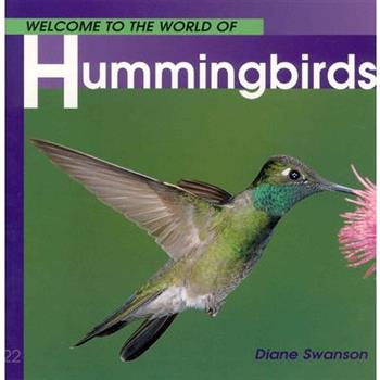 Welcome to the World of Hummingbirds