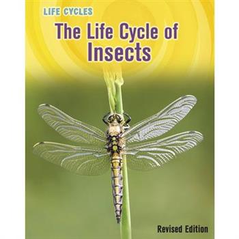 The Life Cycle of Insects