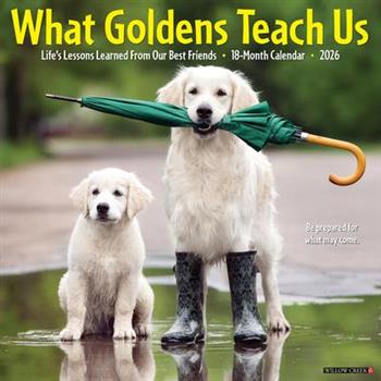 What Goldens Teach Us 2026 12 X 12 Wall Calendar
