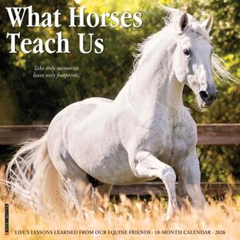 What Horses Teach Us 2026 12 X 12 Wall Calendar