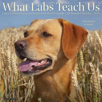 What Labs Teach Us 2026 12 X 12 Wall Calendar