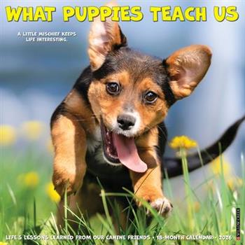 What Puppies Teach Us 2026 12 X 12 Wall Calendar