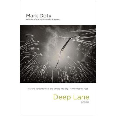 Deep Lane
