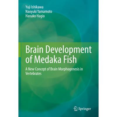 Brain Development of Medaka Fish