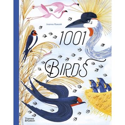 1001 Birds
