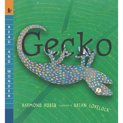 Gecko