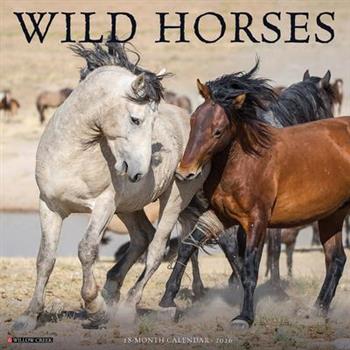 Wild Horses 2026 12 X 12 Wall Calendar