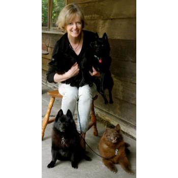 The Dot Com Leprechaun