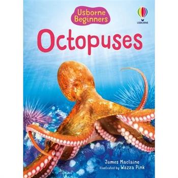 Beginners Octopuses