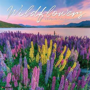 Wildflowers 2026 12 X 12 Wall Calendar