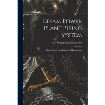 Steam Power Plant Piping System