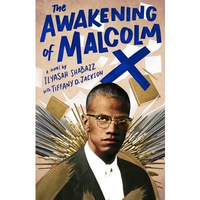 The Awakening of Malcolm X