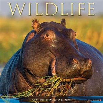 Wildlife 2026 12 X 12 Wall Calendar