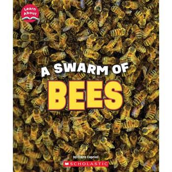 A Swarm of Bees (Learn About: Animals)