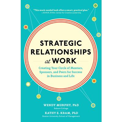 Strategic Relationships at Work (Pb)