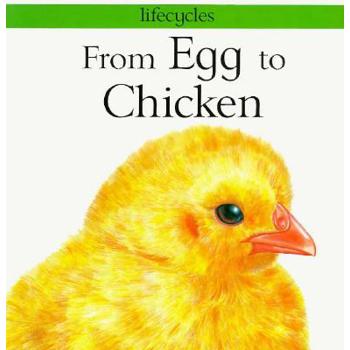 From Egg to Chicken