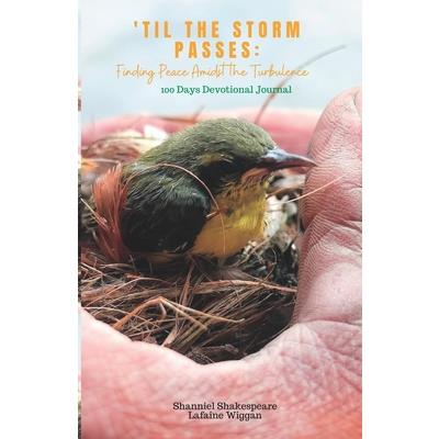 'Til the Storm Passes