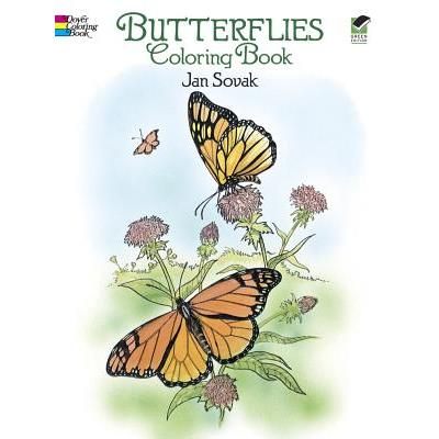 Butterflies Coloring Book