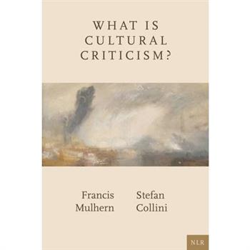What Is Cultural Criticism?