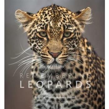 Remembering Leopards