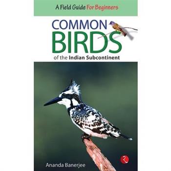 Common Birds of the Indian Subcontinent