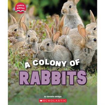 A Colony of Rabbits (Learn About: Animals)