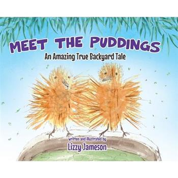 Meet the Puddings