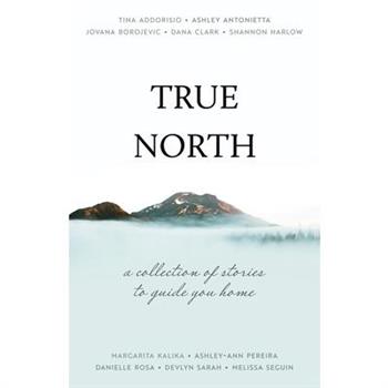 True North