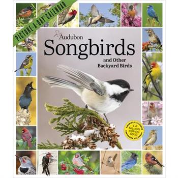 Audubon Songbirds and Other Backyard Birds Picture-A-Day(r) Wall Calendar 2027
