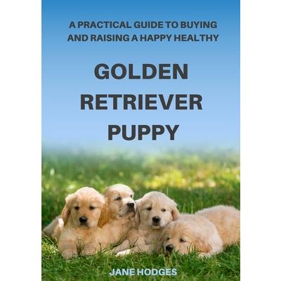 A Practical Guide to Buying and Raising A Happy Healthy Golden Retriever Puppy