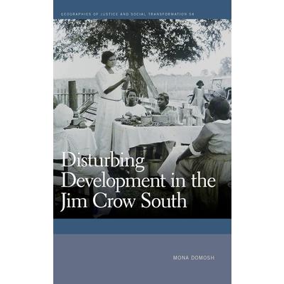 Disturbing Development in the Jim Crow South