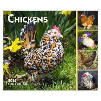 Chickens 2025 6 X 5 Inch Daily Desktop Box Calendar New Page Every Day