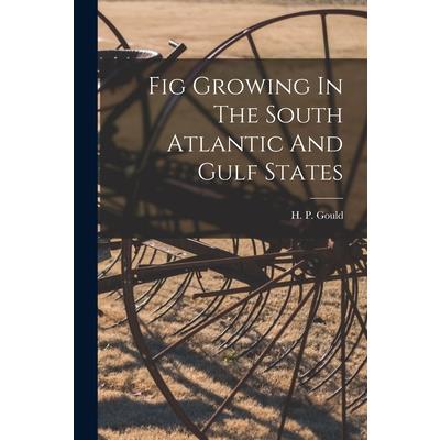 Fig Growing In The South Atlantic And Gulf States