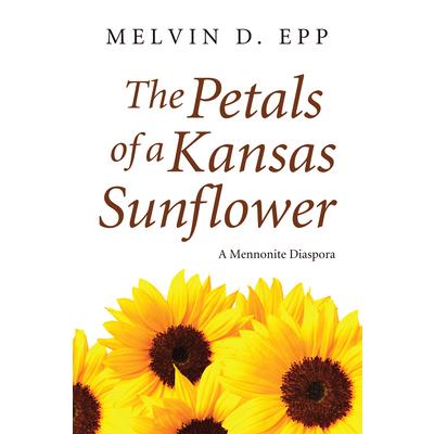 The Petals of a Kansas Sunflower