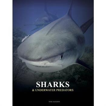 Sharks & Underwater Predators