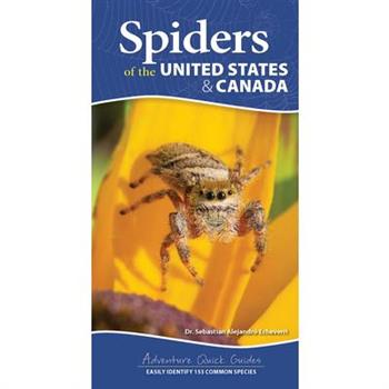 Spiders of the United States & Canada