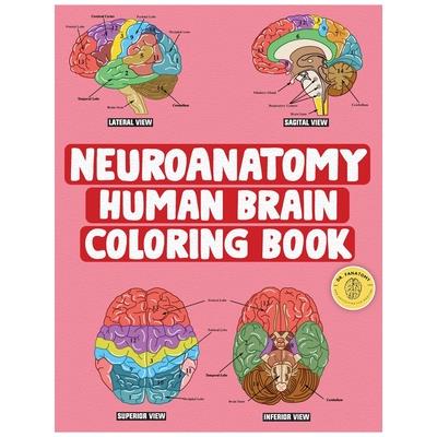 Neuroanatomy Human Brain Coloring Book