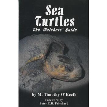 Sea Turtles