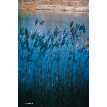 The New York Quarterly, Number 48