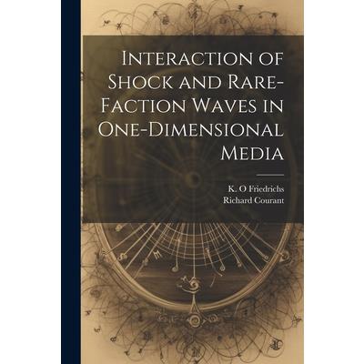 Interaction of Shock and Rare-faction Waves in One-dimensional Media