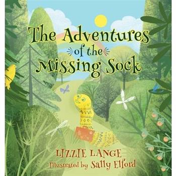 The Adventures of the Missing Sock