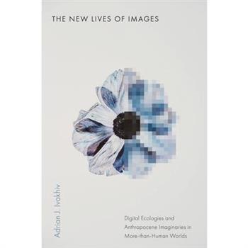 The New Lives of Images
